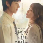 在你的灿烂季节